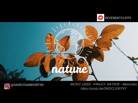 NATURE//REVERENTCLIFF9//FINLAY,NATIIVE-MEMORIES