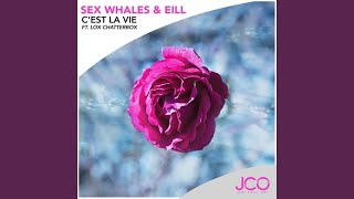 Download lagu C'est La Vie (feat. Lox Chatterbox) mp3