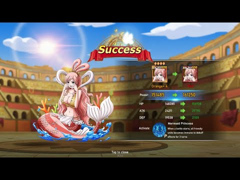BLOODY TREASURE | TEST RED SHIRAHOSHI, BEST SUPPORT NOW !??