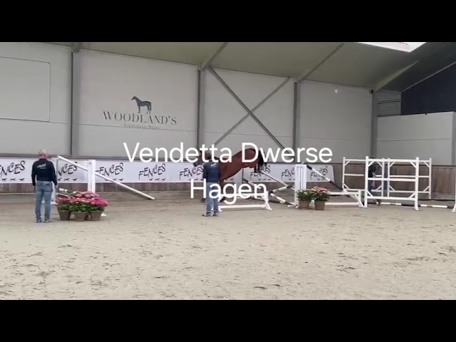 Vendetta Dwerse Hagen
