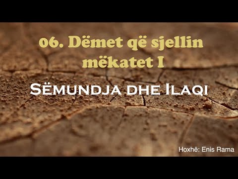 06. Sëmundja dhe Ilaqi - Dëmet që sjellin mëkatet I | Enis Rama
