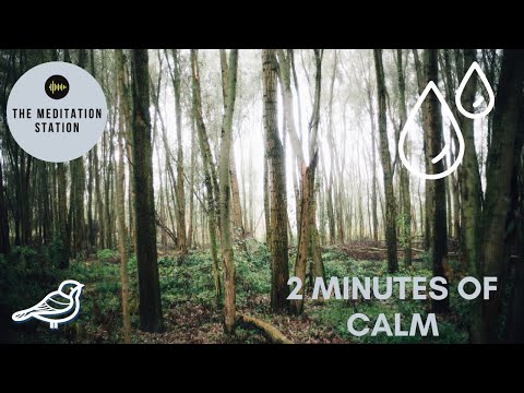 2 Minutes of Calm | Nature Sounds 2 Mins | Relax/Relaxation | Birds Singing/ /Peace/Meditation |