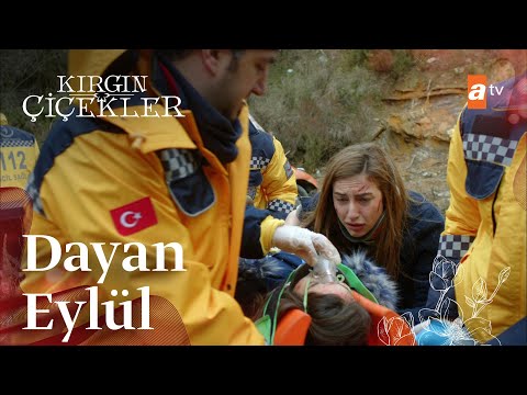 Kızlar korkunç bir trafik kazası geçirerek hastaneye kaldırılırlar! - Kırgın Çiçekler 113. Bölüm