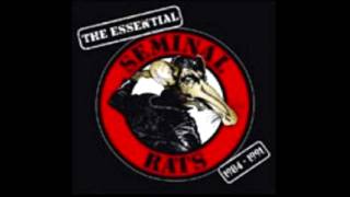 SEMINAL RATS - Rat Race.mp4