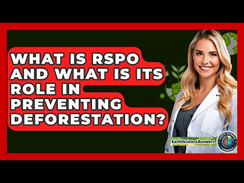 What Is RSPO And What Is Its Role In Preventing Deforestation? - Earth Science Answers
