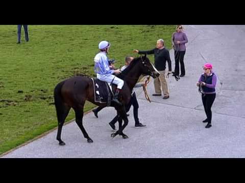 Belmont Park, 23/07/2016 - Race 3 - BLACK DYNAMITE - Brian Kersley & Jarrad Noske