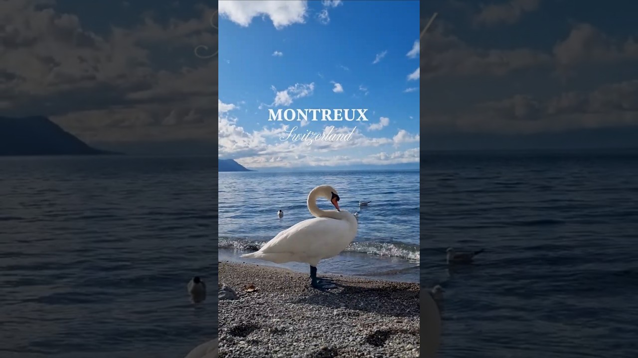 YouTube Short thumbnail