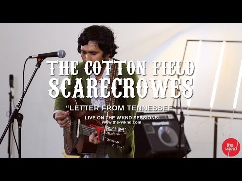 The Cotton Field Scarecrowes | Letter from Tennessee (Live on The Wknd Sessions, #86)