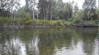 Все о рыбалке с майти байт