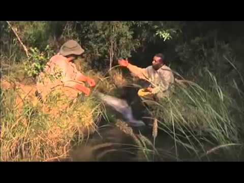 John D. Liu "Green Gold" Clip: Ethiopia Tree Planting
