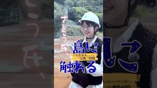 さとう氏、島に触る 父島前 #さとうさおり