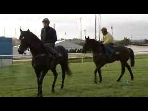 Cummings eyes a new trophy