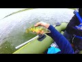 Video Thumbnail for Fishing in our Tobin Sport Canyon Pro Boat - Tons of perch (part 2)