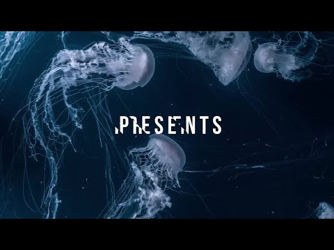 Fast Stomp Glitch Opener After Effects Templates