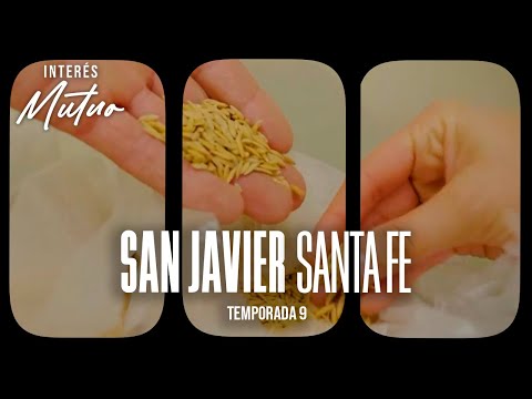 San Javier (Santa Fe) - Interés Mutuo (Temporada 9)