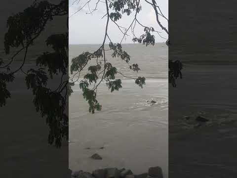 #nodikhondaker #chadpur #rahima