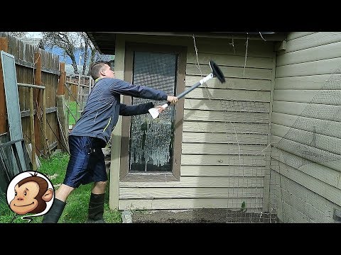 This Method of How to Get Rid of Wasp Nests Will Change Your Life