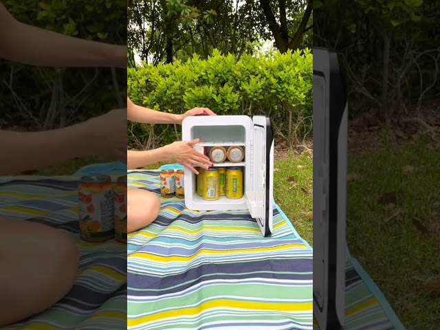 Vídeo relacionado con NK Mini Nevera Portátil, 4 Litros de Capacidad, Funcionamiento 12V-220V, Función Enfriamiento y Calentamiento, Para Cosméticos y Refrescos