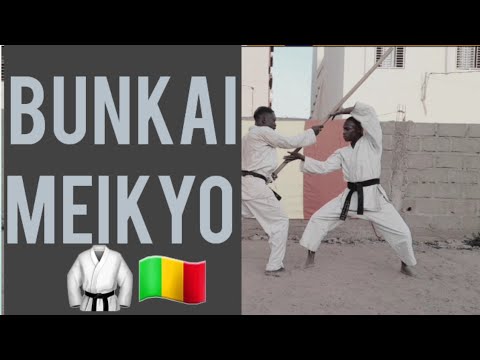 Bunkai Meikyo (polir le miroir) 🇲🇱🥋réalisé par Amadou Coulibaly Ceinture noire (1)🇲🇱🇲🇱🥋.
