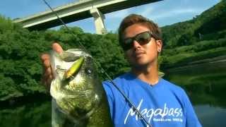 Megabass x wave