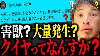 ※クイヤってなんすか？※クイヤについて触れてしまったひろゆき【ひろゆき 切り抜き 論破 堀大輔 良かったこの距離で もこう 松本人志】