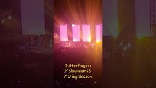 Butterfingers Malayneum23 Mating Season