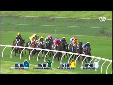 2014 Rosehill Guineas G1