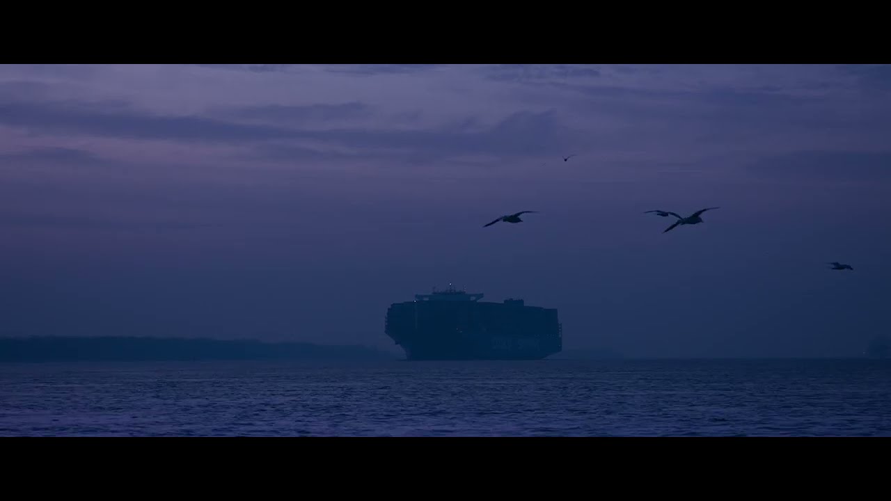 Official Trailer STRANGE NEIGHBORS