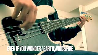 Even If You Wonder / Earth,Wind&amp;Fire / Bass Cover