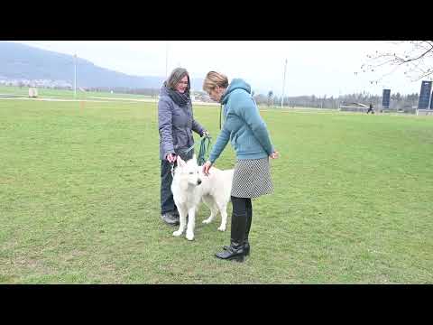 SKG: Hunde im Einsatz