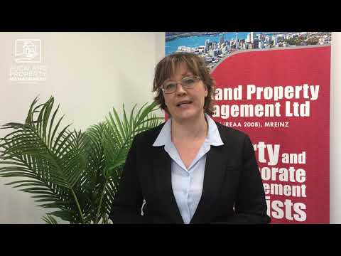 What's the process for marketing a rental property? - Auckland Property Management