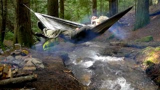 Misty Forest Cooking and Steak | Bushcraft Style