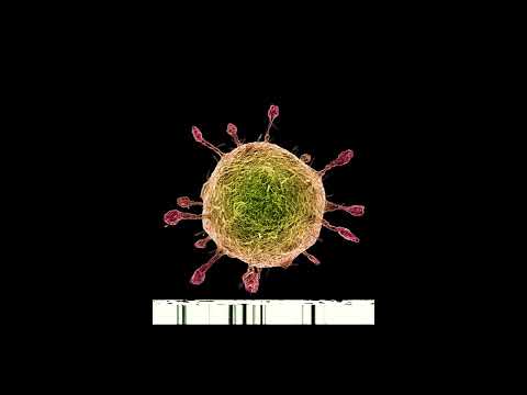 Nehss Normandie - Quarantäne Freestyle