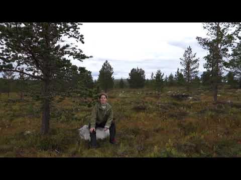 The Halle - Tabita Berglund conducts the Hallé in November 2019