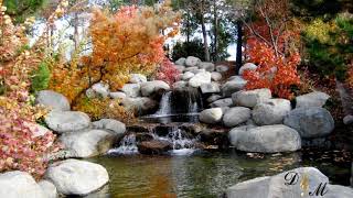 Perfect Canon in D Wedding Version (Piano Instrumental Cover) - Benny Martin Piano