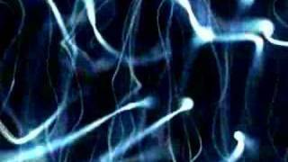 Menudo on Bandemonium Tour 2008