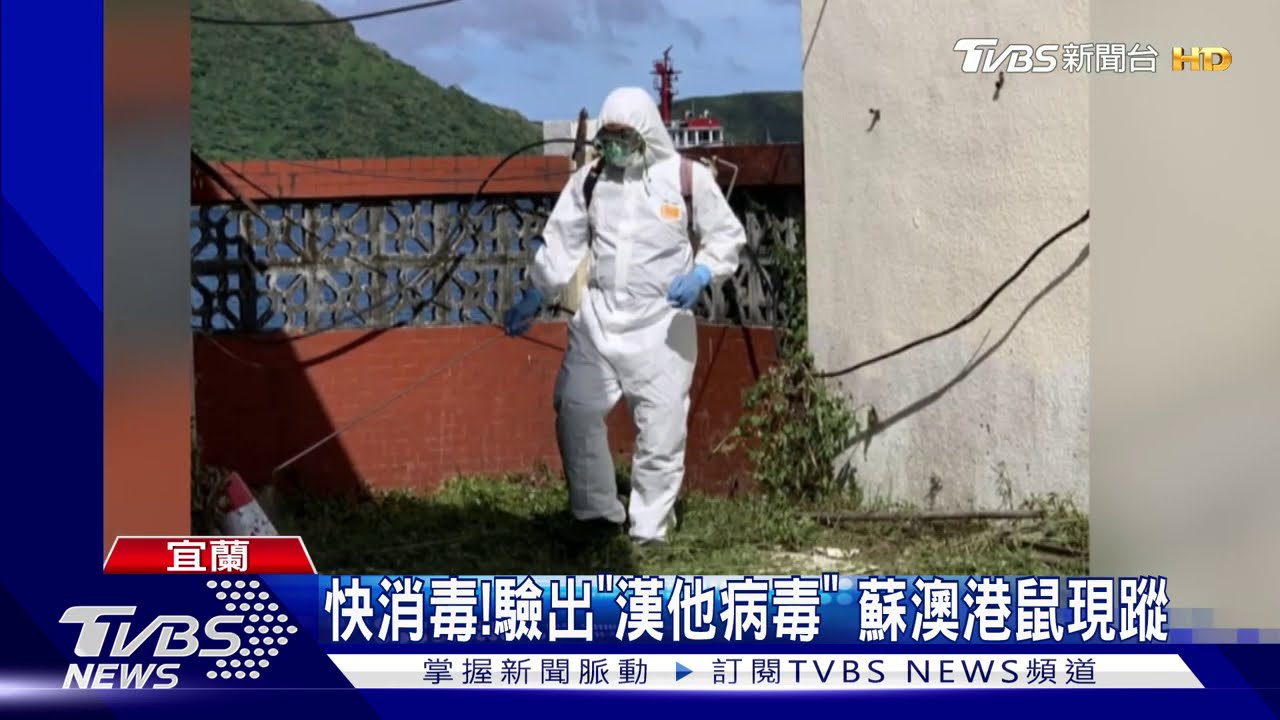 快消毒!驗出「漢他病毒」 蘇澳港鼠現蹤