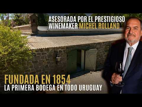🍷 Enoturismo en Uruguay: bodega histórica con asesoramiento de Michel Rolland