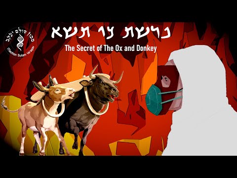 Parashat Ki Tisa: The Secret of The Ox and Donkey