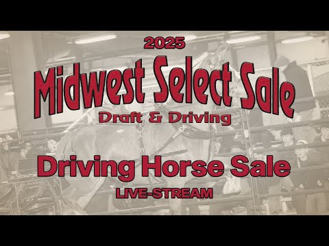 2025 Midwest Select Sale (Driving Horse Sale)