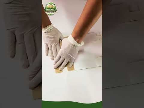 Armado - Caja Sushi interior y exterior