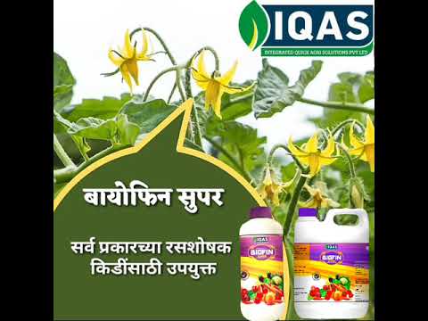 Iqas 1 Litre Biofin Super Fish Oil, Packaging Type: Plastic Bottle