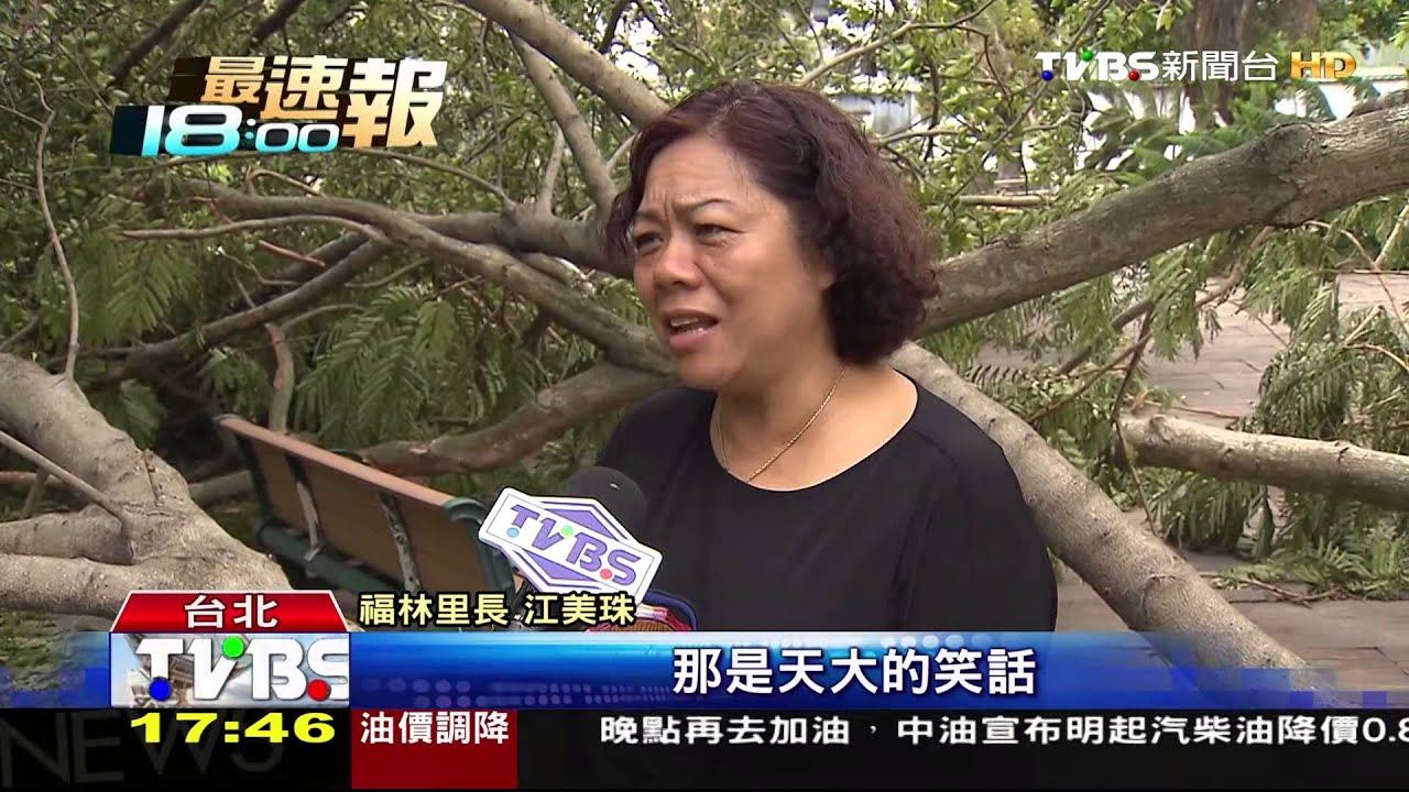 綠色浩劫！清樹累壞　北市：自己公園自己清