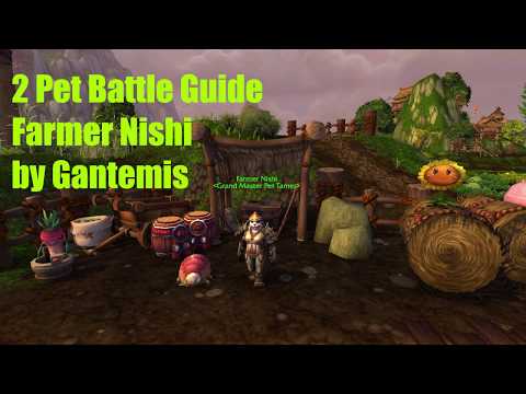 How to defeat Nishi 2 pet battle guide WoW