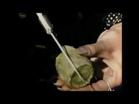 El Topo - Prickly Pear Scene