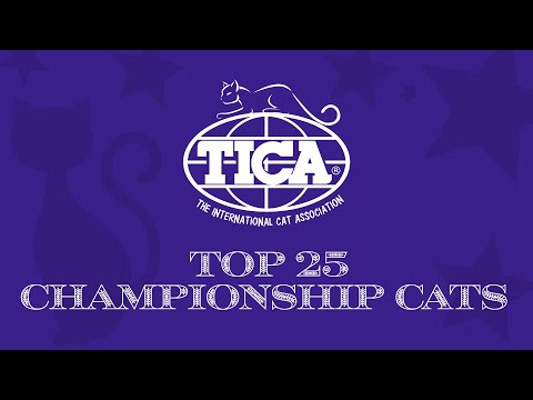 Top 25 Championship Cats