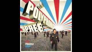 The Polyphonic Spree - Light To Follow