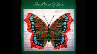 the beatles and the stones -  the house of love