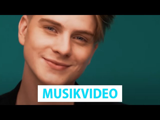 Ich Schenk Dir Mein Herz von Vincent Gross ((jetzt ansehen))