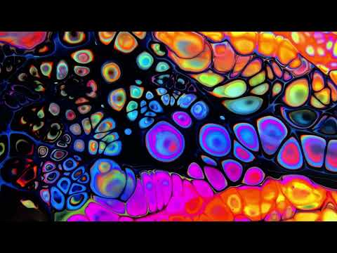 DBN Gogo,PRVIS3,Triple X Da Ghost,Durban's Finest,Effected-Stingray